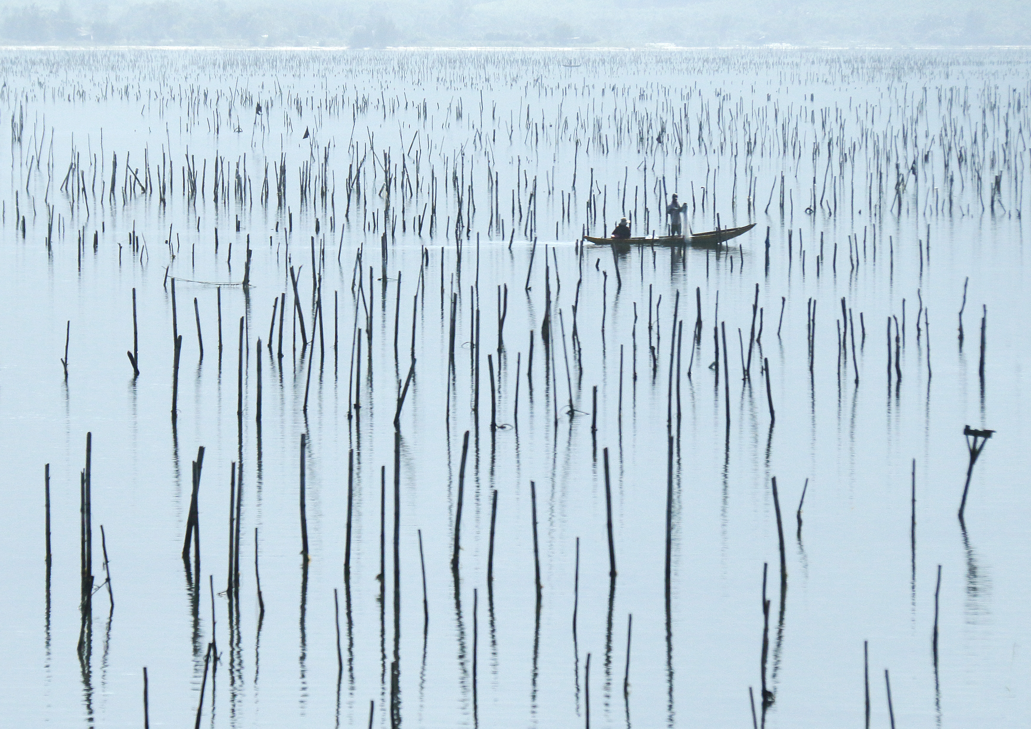 FISHING IN HALONG BAY VIETNAM by Edwin Cowley